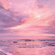 คิมเบอร์ลี่ แอน avatar